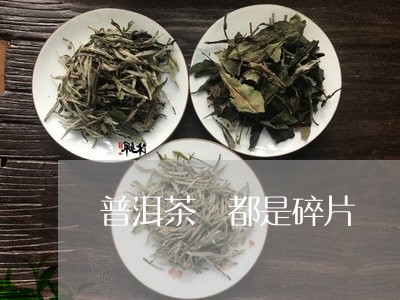 普洱茶 都是碎片/2023041077170